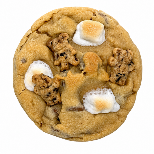 Chocolate Stuffed S’more